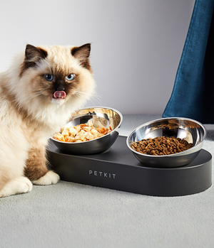 Stainless Steel Pet Adjustable Feed Bowl Double Feeder
